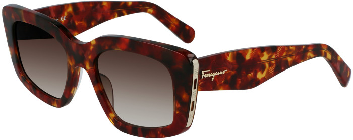 Ferragamo havana cheap sunglasses