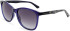 Ted Baker TB1496 sunglasses in Dark Blue