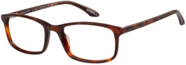 O'Neill ONO-4522 glasses in Tortoise