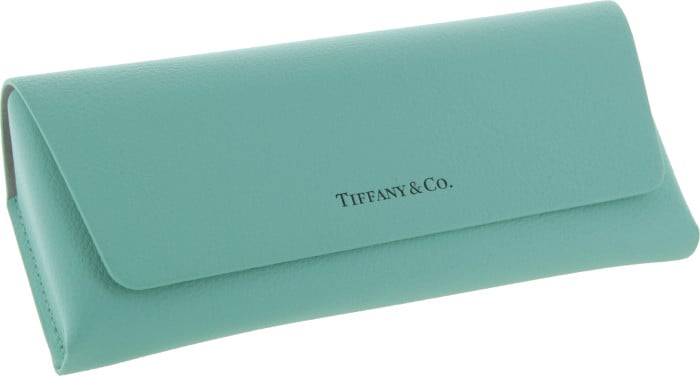 Tiffany newest and co glasses case